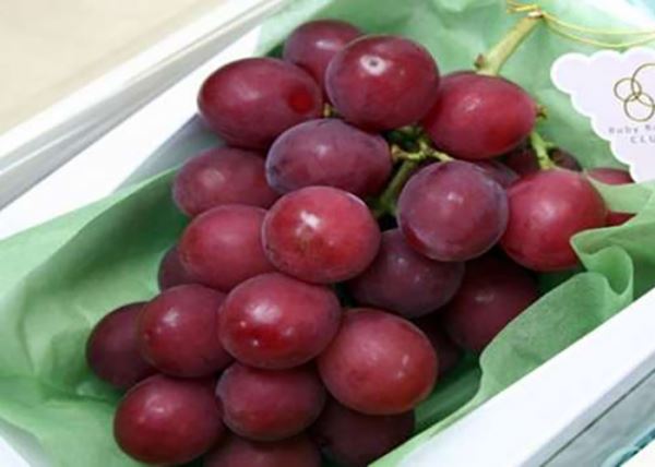 Самый дорогой в мире сорт винограда