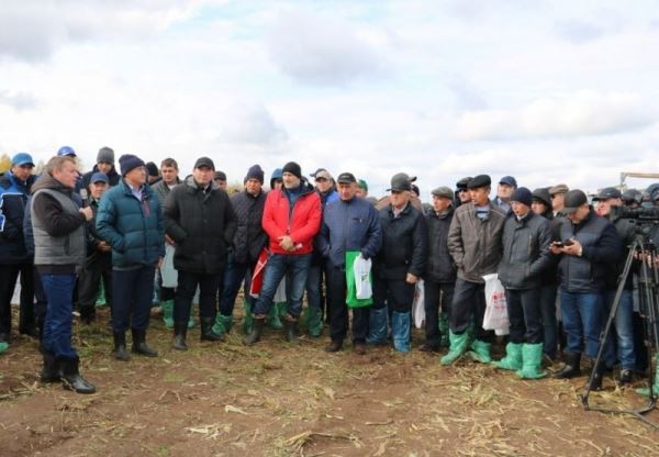 Роль кукурузы в животноводстве обсудили с сельхозпроизводителями в Татарстане