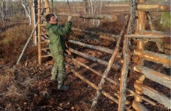 <br />
Изгородное оленеводство тестируют на Ямале<br />
