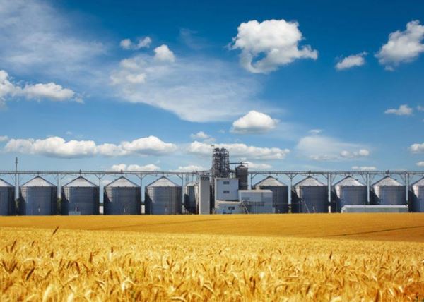 ​Эксперты раскритиковали предложение Гордеева создать «зерновой ОПЕК»