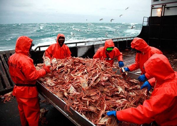 ​Приморские рыбаки отказались от квот на вылов глубоководных крабов