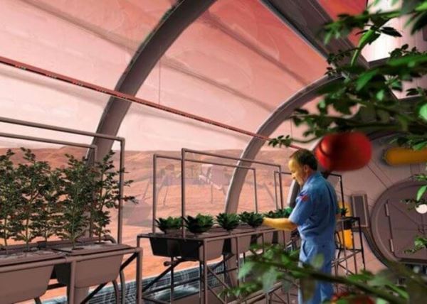 Выращивать растения на Марсе — реально