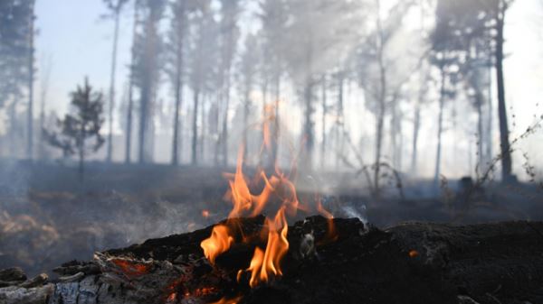 Иванов оценил ситуацию с природными пожарами в России